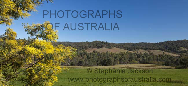 rural landscape near Yackandandah Victoria