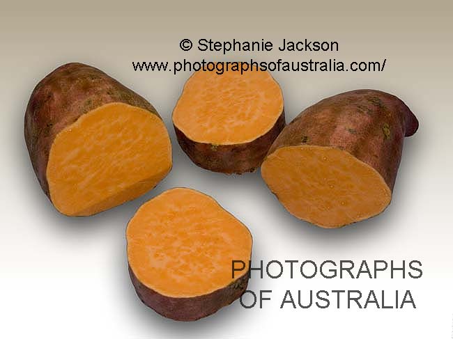 sweet potato Ipomoea batata on white background
