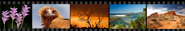 film strip 3