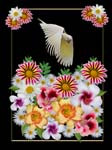 floral art design with flowers and cockatoo