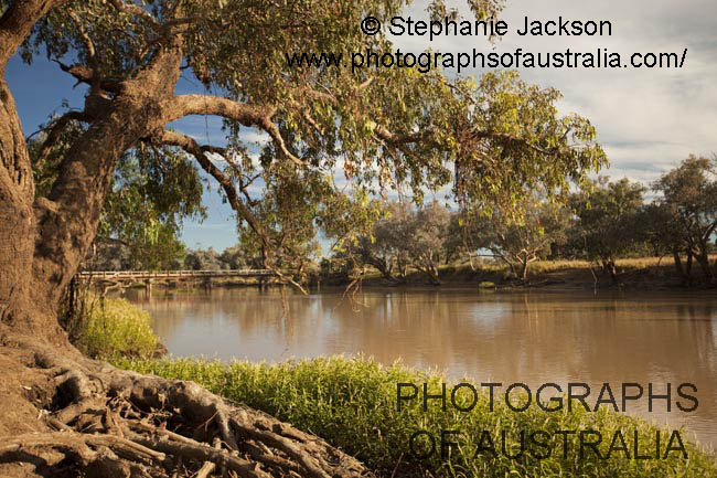 ward river near charleville queensland outback australia