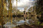 darling river