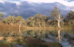 darling river ans stormy sky at wentworth nsw australia