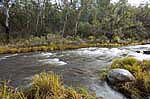 howquar river victoria