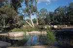mann river at nature reserve near glen innes