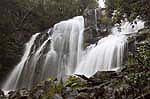 snobs creek falls waterfall near eildon victoria australia