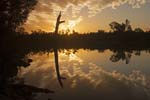 sunset over balonne river near saint george outback queensland australia
