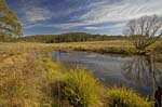 nadgengutta creek near nerriga nsw