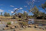 ward river outback queensland australia