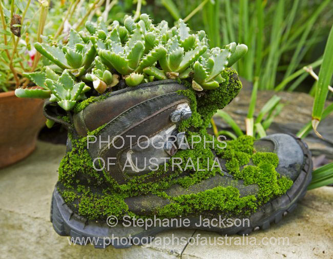 old boot plant container