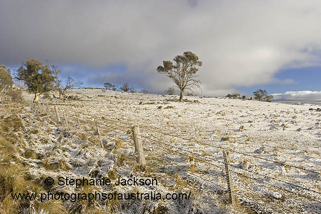 snow over australian landscape