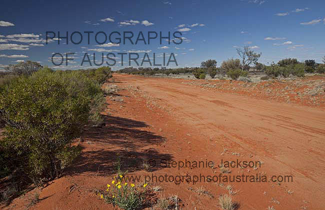 australian outback road