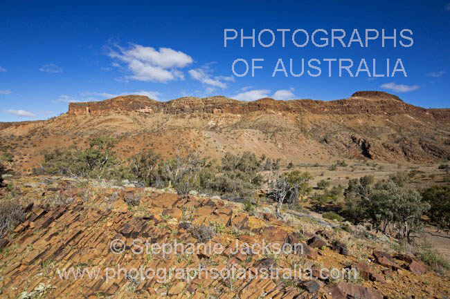 mount chambers gorge in flinders ranges outback south australia