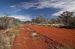 outback road through Gundabooka national park nsw australia