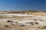 outback landscape
