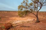 australian outback landscape