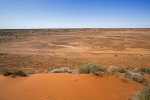 outback landscape of sand dunes and barren red plains in Queensland australia