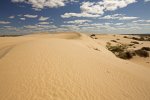 sand dunes near vigar's well in mungo national park outback nsw australia