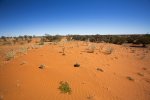 outback landscape with red sand dunes western queensland australia