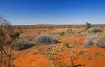 australian arid outback landscape withy sand dunes outback northern south australia