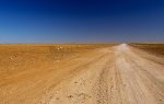 outback asutralian country road across treeless plains