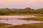 lake corella sunset