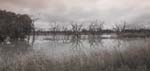 panoramic view of menindee lakes nsw outback australia