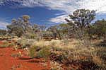 gundabooka national park