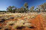 gundabooka national park