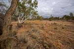 outback landscape