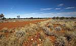 australian outback road 