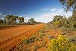 outback road hemmed with wildflowers from Wilcannia to Wanaaring outback nsw australia