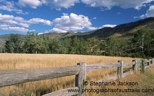 lockyer valley grasslands and old fence