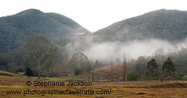 misty morning landscape near kempsey nsw