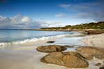 beach at lincoln national park eyre peninsula south australia