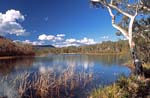 lake at dunns swamp in wollemi national park nsw