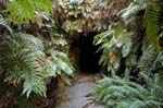 entrance to glow worm tunnel at newnes