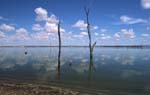lake nuga nuga national park outback australia