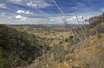 landscape of hills and foresrts near sophala nsw