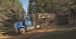 logging truck in state forest
