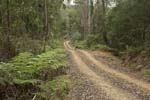 track in nowendoc antional park nsw australia