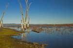 calm blue waters of lake at Nuga Nuga National Park, Queensland