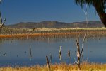 lake and landscape at Nuga Nuga National Park Queensland Australia