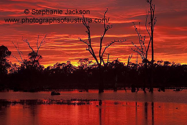 sunrise over gunbower creek at cohuna victoria australia