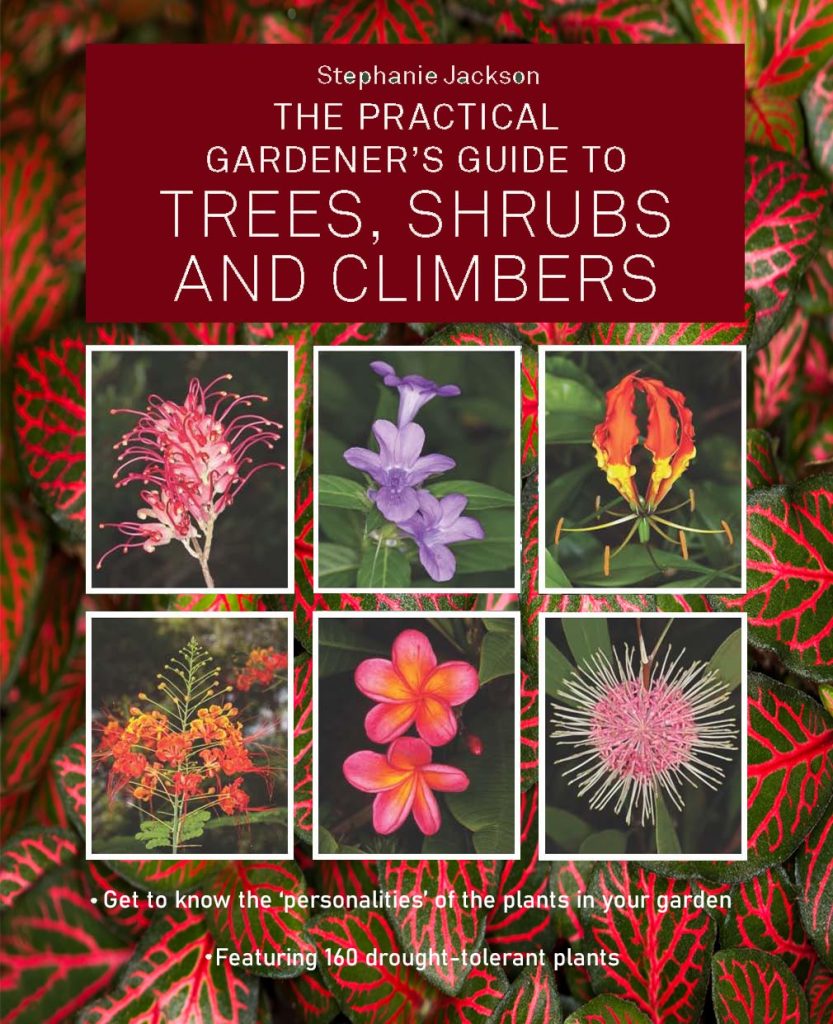 The Practical Gardener's Guide to Trees, Shrubs and Climbers - By Stephanie Jackson