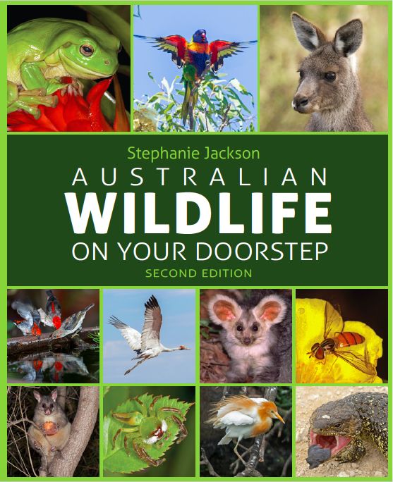 Australian Wildlife On Your Doorstep - by Stephanie Jackson