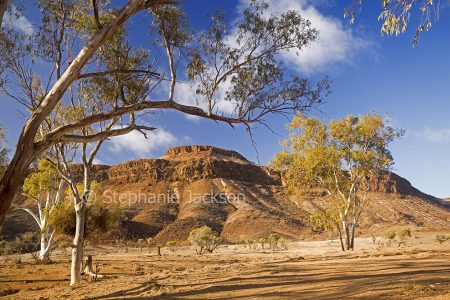 Mount Chambers Gorge, Flinders Ranges, northern South Australia