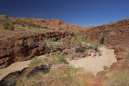 Trephina gorge, East MacDonnell Ranges, Northern Territory