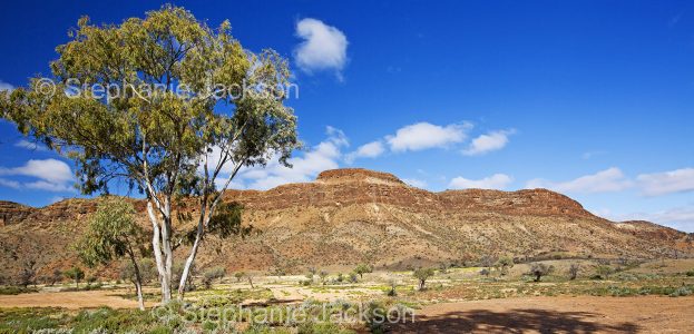 Mount Chambers Gorge, Flinders Ranges, northern South Australia