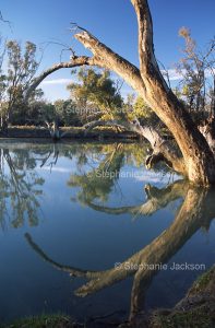 Murrumbidgee River at Maude in NSW
